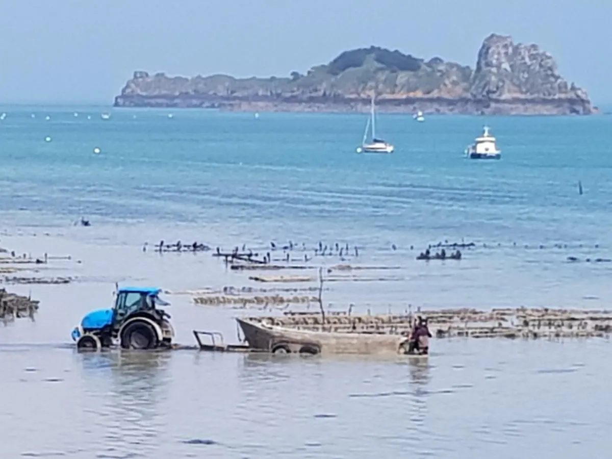 Belle Brise Apartment Cancale